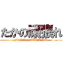 たかの頑張れ (Fighting TAKANO)