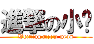 進撃の小貓 (Whining meow meow)
