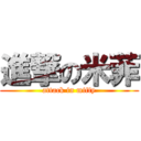 進撃の米菲 (attack in miffy)