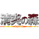 清爽の森 (Splash)