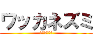 ワッカネズミ (Ｐｏｋéｍｏｎ)