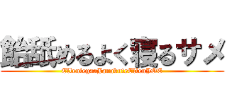 飴舐めるよく寝るサメ (ElleniegaaJanakuteEllenJOE)