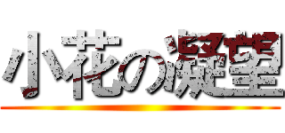 小花の凝望 ()