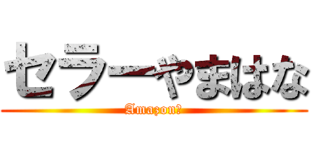 セラーやまはな (Amazon店)