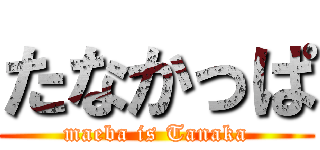 たなかっぱ (maeba is Tanaka)