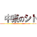  中東のシト (Israel )