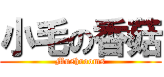 小毛の香菇 (Mushrooms)