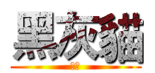 黑灰貓 (去死)