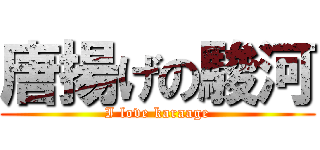 唐揚げの駿河 (I love karaage)