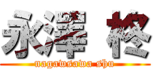 永澤 柊 (nagawsawa shu)