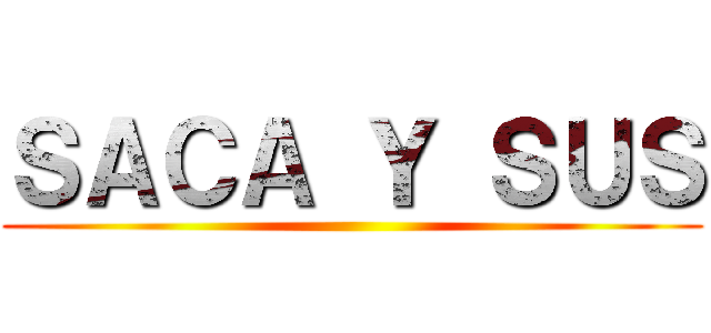 ＳＡＣＡ Ｙ ＳＵＳ ()