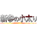 新参の小太り (横綱になりたいでごわす)