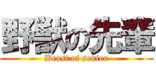 野獣の先輩 (Beast of senior)