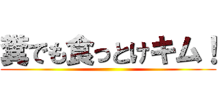 糞でも食っとけキム！ ()