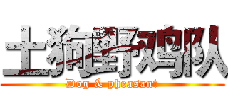 土狗野鸡队 (Dog & pheasant)