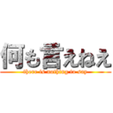 何も言えねえ (there is nothing to say)