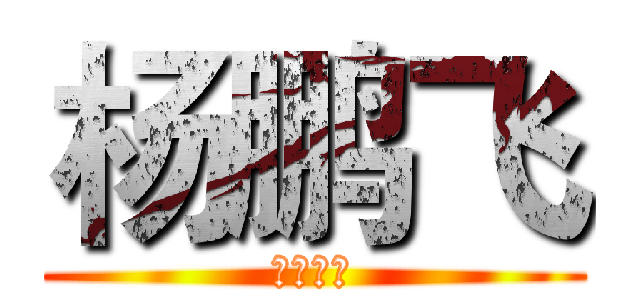 杨鹏飞 (建筑一班)
