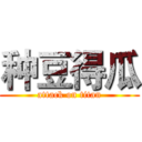 种豆得瓜 (attack on titan)