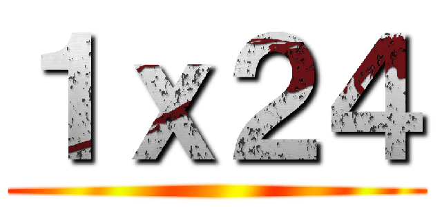 １ｘ２４ ()