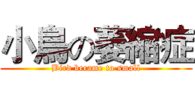 小鳥の萎縮症 (Bird became to small)