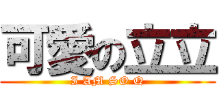 可愛の立立 (I AM SO Q)