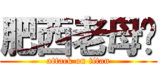 肥西老母雞 (attack on titan)