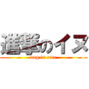 進撃のイヌ (dog is cute)