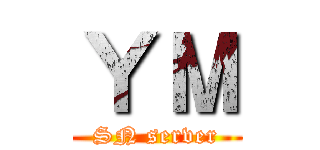 ＹＭ (SN server)