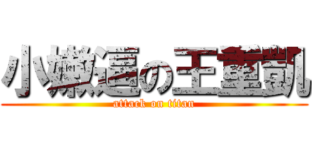 小嫩逼の王重凱 (attack on titan)