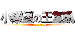 小嫩逼の王重凱 (attack on titan)