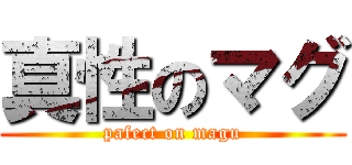 真性のマグ (pafect on magu)