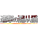 進撃の随从猫 (attack on titan)
