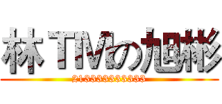 林ＴＭの旭彬 (213333333333)