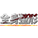 全身整形 (attack on budaiku)