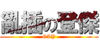 亂插の登傑 (GAY)
