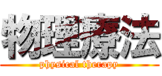 物理療法 (physical therapy)