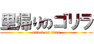 里帰りのゴリラ (attack on titan)