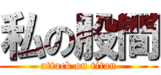 私の股間 (attack on titan)