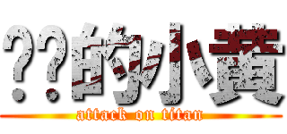 纯纯的小黄 (attack on titan)