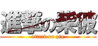 進撃の柴彼 (attack on pig)