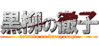 黒柳の徹子 (tetsuko on kuroyanagi)