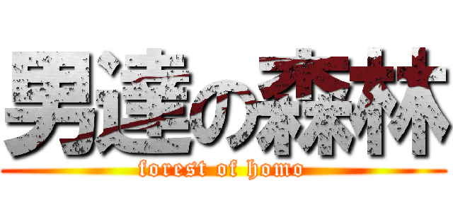 男達の森林 (forest of homo)