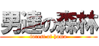 男達の森林 (forest of homo)