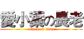 愛小葉の長老 (attack on titan)