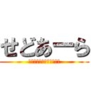 せどあーら (あなたの副業、応援します)