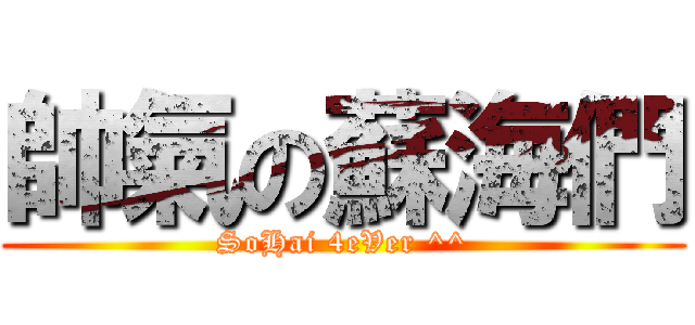 帥氣の蘇海們 (SoHai 4eVer ^^)
