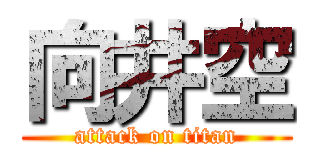 向井空 (attack on titan)