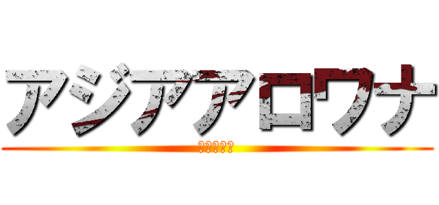 アジアアロワナ (取り扱い魚)