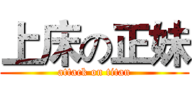 上床の正妹 (attack on titan)
