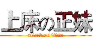 上床の正妹 (attack on titan)